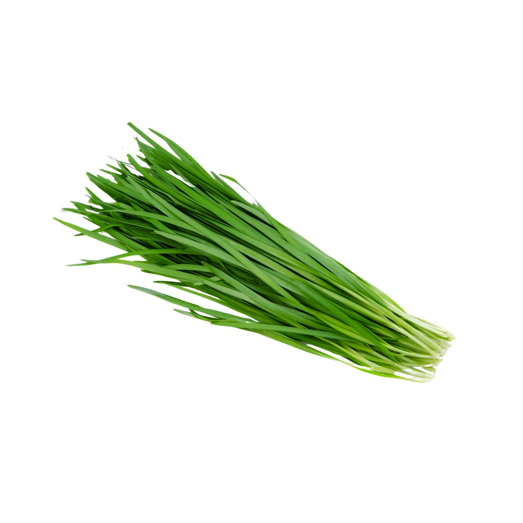 Flat Chives