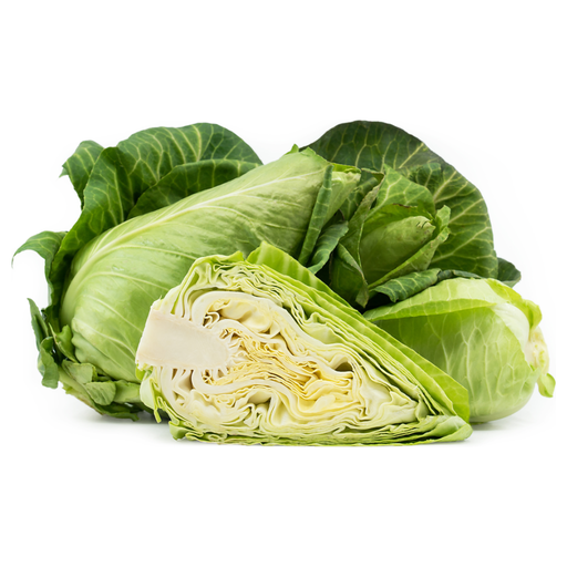 Green Pointed Cabbage