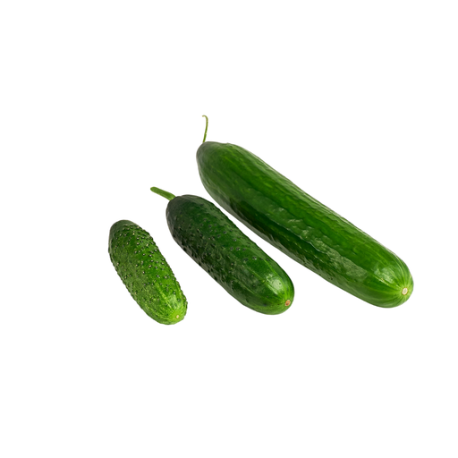 Cucumber Mix